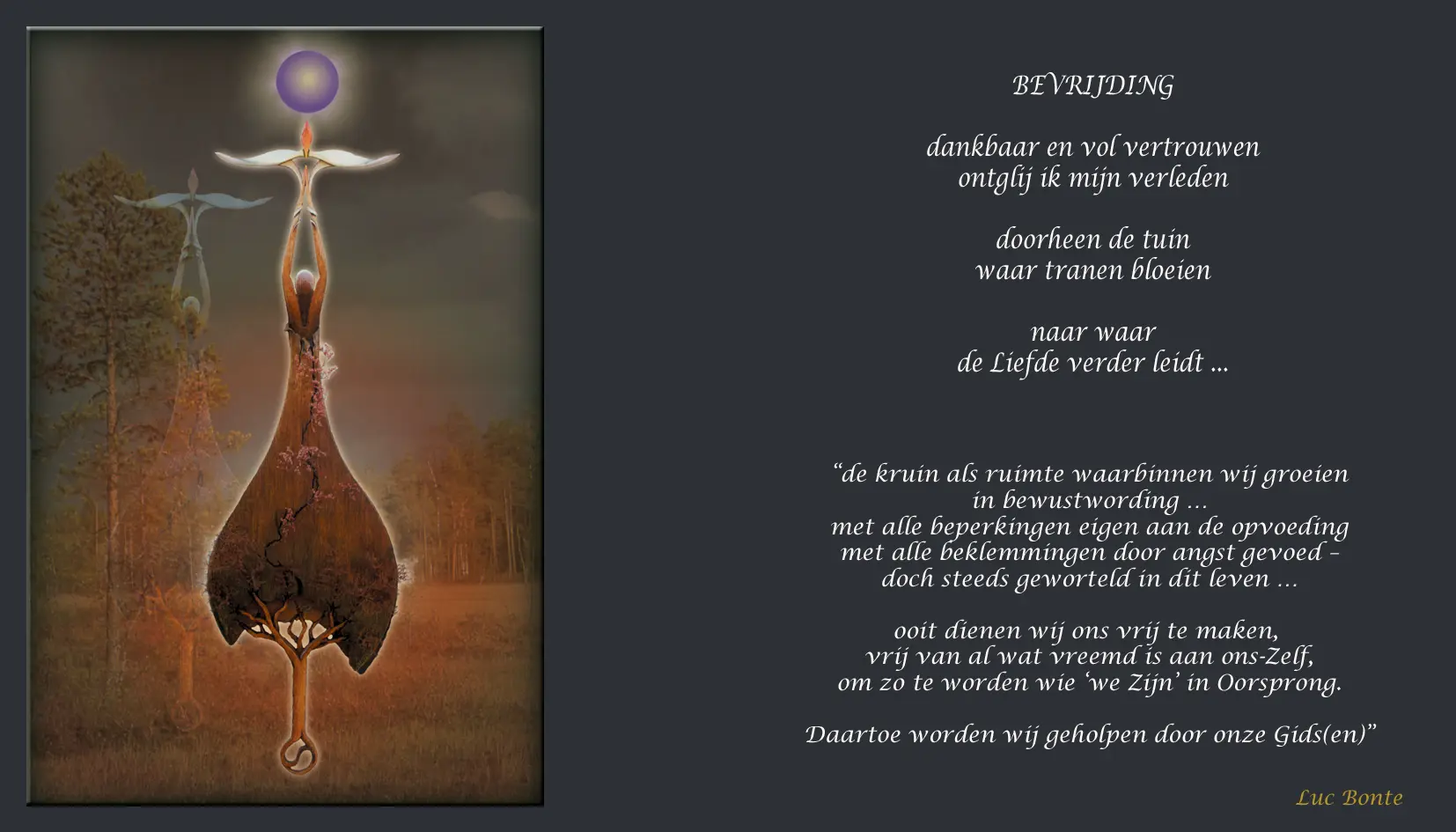 Reproductie: Bevrijding